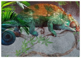Obraz - Kameleon (70x50 cm)