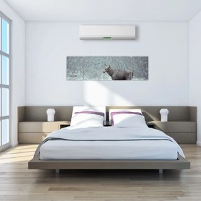 Obraz - Łoś w śnieżnym lesie (170x50 cm)