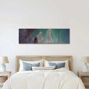 Obraz zorzy polarnej nad zamarzniętymi drzewami (170x50 cm)