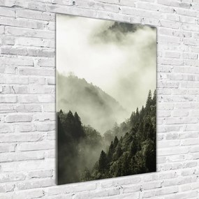 Foto obraz zdjęcie na szkle pionowy Mgła nad lasem