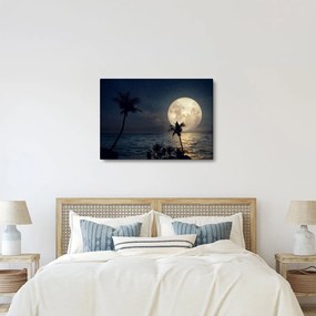 Obraz - Plaża przy pełni księżyca (70x50 cm)