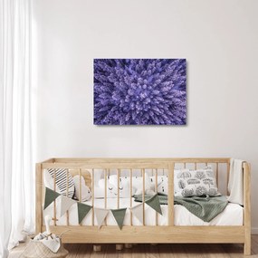 Obraz na szkle ośnieżonych drzew (70x50 cm)