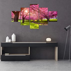 Obraz kwitnących czereśni, Hurd Park, Dover, New Jersey (125x70 cm)