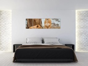 Obraz - dwie lwice (170x50 cm)