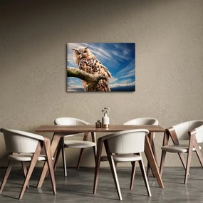Obraz sowy (70x50 cm)