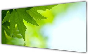 Szkło Dekoracyjne do Kuchni Soczyste Zielone Liście