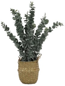 Sztuczna roślina eukaliptus w koszyku, 50 cm