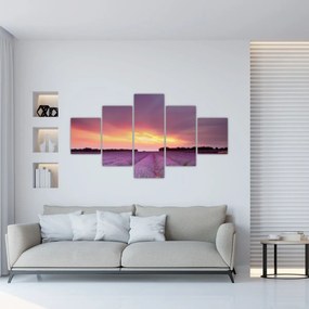 Obraz - Pole lawendy (125x70 cm)