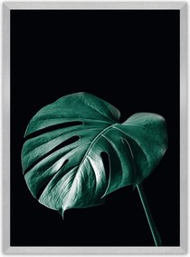 Plakat Dark Monstera