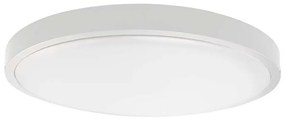 LED Plafon łazienkowy LED/18W/230V IP44 6500K śr. 25 cm biały