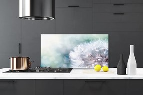 Szkło do Kuchni na Ścianę Puszysty Mniszek Lekarski