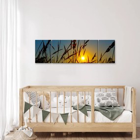 Obraz - Zachód słońca na łące (170x50 cm)