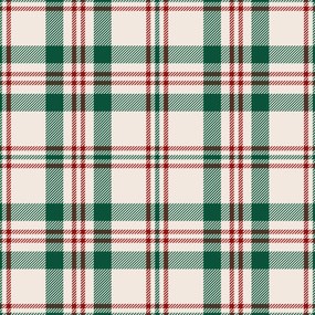 Bawełniana poszewka na poduszkę WINTER PLAID 50x70 cm, kolorowa