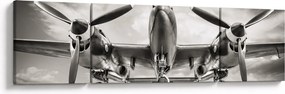 Obraz - Warbird (170x50 cm)