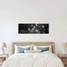 Obraz - Trawa bawełniana na łące (z zegarem) (90x30 cm)