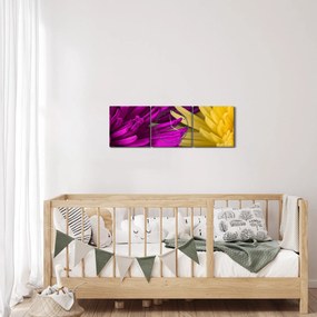 Obraz - szczegóły kwiatów (z zegarem) (90x30 cm)