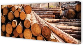 Obraz na płótnie Składowisko Świeżych Bali