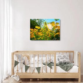 Obraz na szkle żółtych kwiatów (70x50 cm)