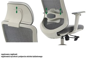 Fotel ergonomiczny ERGON szary SIGNAL