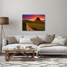 Obraz pola i kolorowego nieba (70x50 cm)