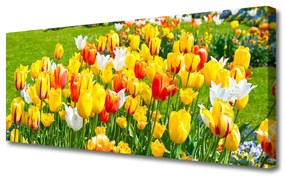 Obraz Canvas Tulipany Kwiaty Natura