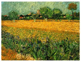 Reprodukcja obrazu Vincenta van Gogha – View of arles with irises in the foreground, 40x30 cm