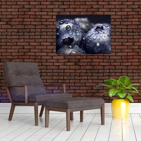 Obraz na szkle - owoce z kroplami wody (70x50 cm)