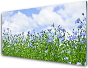 Szkło Dekoracyjne do Kuchni Harmonijna Flora Ogrodowa