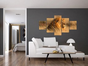Obraz - Park Narodowy Etosha (125x70 cm)