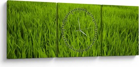 Obraz trawy (z zegarem) (90x30 cm)
