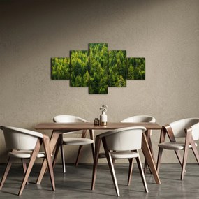 Obraz - Gęsty las (125x70 cm)