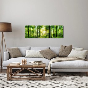 Obraz - Świt w lesie (z zegarem) (90x30 cm)