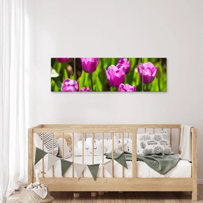 Obraz tulipanów na łące (170x50 cm)
