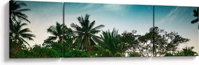 Obraz - palmy (170x50 cm)