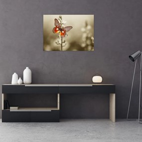 Obraz na szkle motyla (70x50 cm)