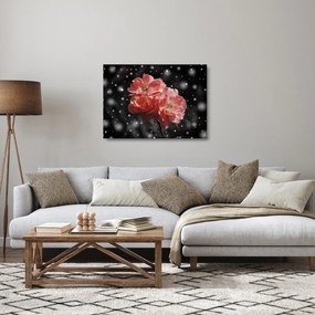 Obraz na szkle - różowy kwiat (70x50 cm)