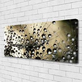 Obraz na płótnie Lekkość Mniszka Lekarskiego