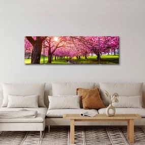 Obraz kwitnących czereśni, Hurd Park, Dover, New Jersey (170x50 cm)