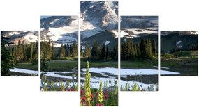 Obraz - Mount Rainier (125x70 cm)