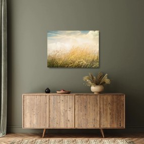 Obraz na szkle - Pole jesienią (70x50 cm)