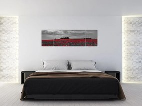 Obraz maków (170x50 cm)
