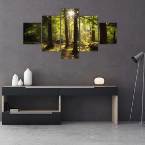 Obraz sennego lasu (125x70 cm)