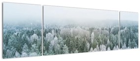 Obraz - Ośnieżone szczyty lasów (170x50 cm)
