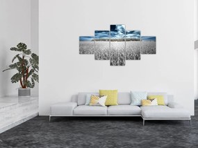 Obraz pola (125x70 cm)