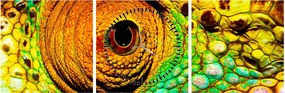 Obraz - Kameleon (z zegarem) (90x30 cm)