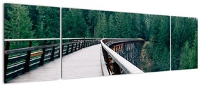 Obraz - Most do wierzchołków drzew (170x50 cm)
