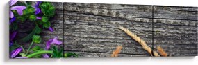 Obraz - kwiaty polne (170x50 cm)