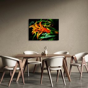 Obraz na szkle pomarańczowego kwiatu (70x50 cm)