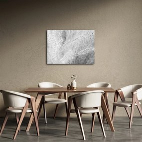 Obraz - Trawa pampasowa N⁰1 (70x50 cm)