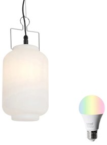 Zewnetrzna Inteligentna wisząca lampa zewnętrzna biała 20 cm z WiFi A60 - Pion Nowoczesny Oswietlenie zewnetrzne